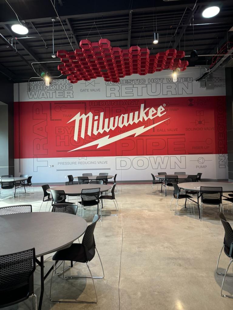 Professional commercial mural painting project